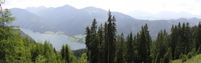 bilder/5_weissen_ 023a.jpg